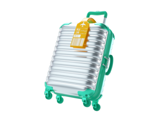 travel icon